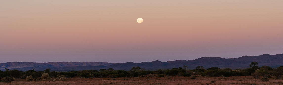 Beltana Station